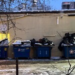 Trash/Recycling at 1003 Beacon St