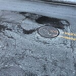 Pothole at 361 Newton St, Chestnut Hill