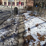 Unshoveled/Icy Sidewalk at 205 Davis Ave