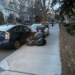 Trash/Recycling at 81 Winchester St