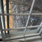 Trash/Recycling at 2–32 Pleasant St, Brookline 02446