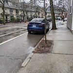 Graffiti at 276 Cypress St