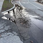 Pothole at Fairgreen Pl, Chestnut Hill