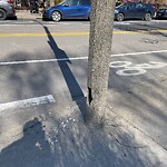 Sidewalk Repair at 461 Washington St