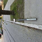 Damaged Sign at 18 Williston Rd