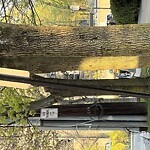 Damaged Sign at 18 Williston Rd