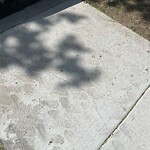Sidewalk Repair at 122 Sumner Rd