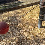 Park Playground at 652 Hammond St, Chestnut Hill