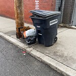 Trash/Recycling at 1633 Beacon St