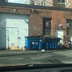 Rodent Issues at 1024 Commonwealth Ave, Boston