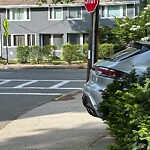 Parking Ticket at 117 Franklin St