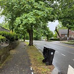 Public Trees at 20 Sumner Rd