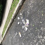 Rodent Issues at 120 University Rd