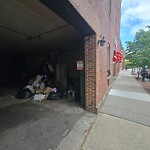 Rodent Issues at 320 Washington St