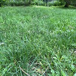 Park Playground at 13–43 Griggs Terr