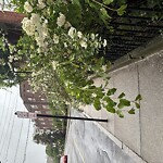 Sidewalk Obstruction at 25 Park St