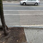 Damaged Sign at 137 Harvard St