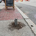 Sidewalk Obstruction at 238 Washington St