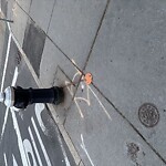 Sidewalk Obstruction at 2 Harvard St