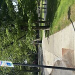 Sidewalk Obstruction at Brookline Reservoir Park, Route 9 And Lee St. And Warren St, Brookline 02445