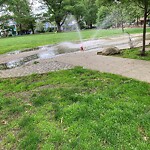 Park Playground at 1–19 Waverly St