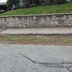 Sidewalk Repair at 110 Arlington Rd, Chestnut Hill