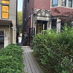 Rodent Issues at 1199 Beacon St