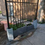 Other at 52 Gibbs St