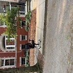 Sidewalk Obstruction at 14 Strathmore Rd