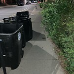 Sidewalk Obstruction at 116 Park St