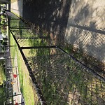 Park Playground at Coolidge Park, 50 54 Kenwood St, Brookline 02446