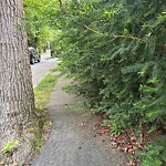 Sidewalk Obstruction at 62 South St, Chestnut Hill