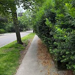 Sidewalk Obstruction at 200 Fisher Ave