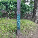 Graffiti at Clinton Path