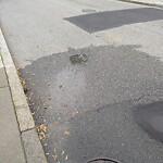 Water and Sewer at 186 Tappan St