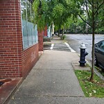 Sidewalk Obstruction at 248 Cypress St