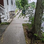 Sidewalk Obstruction at 280 Cypress St