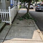 Sidewalk Obstruction at 19 Roberts St