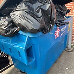 Trash/Recycling at 306 Harvard St