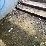 Sidewalk Obstruction at Clinton Path