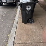Trash/Recycling at 42.34 N 71.12 W