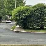 Sidewalk Obstruction at 40 Cleveland Rd, Chestnut Hill 02467