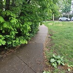 Sidewalk Obstruction at 36 Druce St