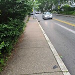 Sidewalk Obstruction at 26 Cypress St