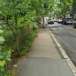 Sidewalk Obstruction at 54 Cypress St