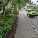 Sidewalk Obstruction at 86 Cypress St