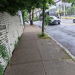Sidewalk Obstruction at 98 Cypress St