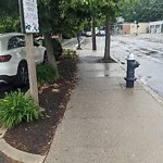Sidewalk Obstruction at 7 Kendall St