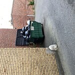 Trash/Recycling at 385 Harvard St