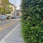 Sidewalk Obstruction at 18–30 Green St
